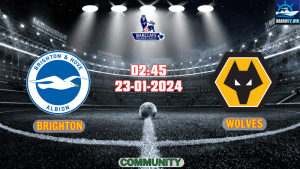 Nhận định bóng đá Brighton vs Wolves 02h45 ngày 23/01/2024