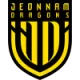 Logo Jeonnam Dragons
